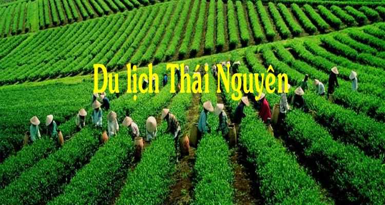 Hướng Dẫn Thuê Xe Hà Nội đi Thái Nguyên Giá Rẻ