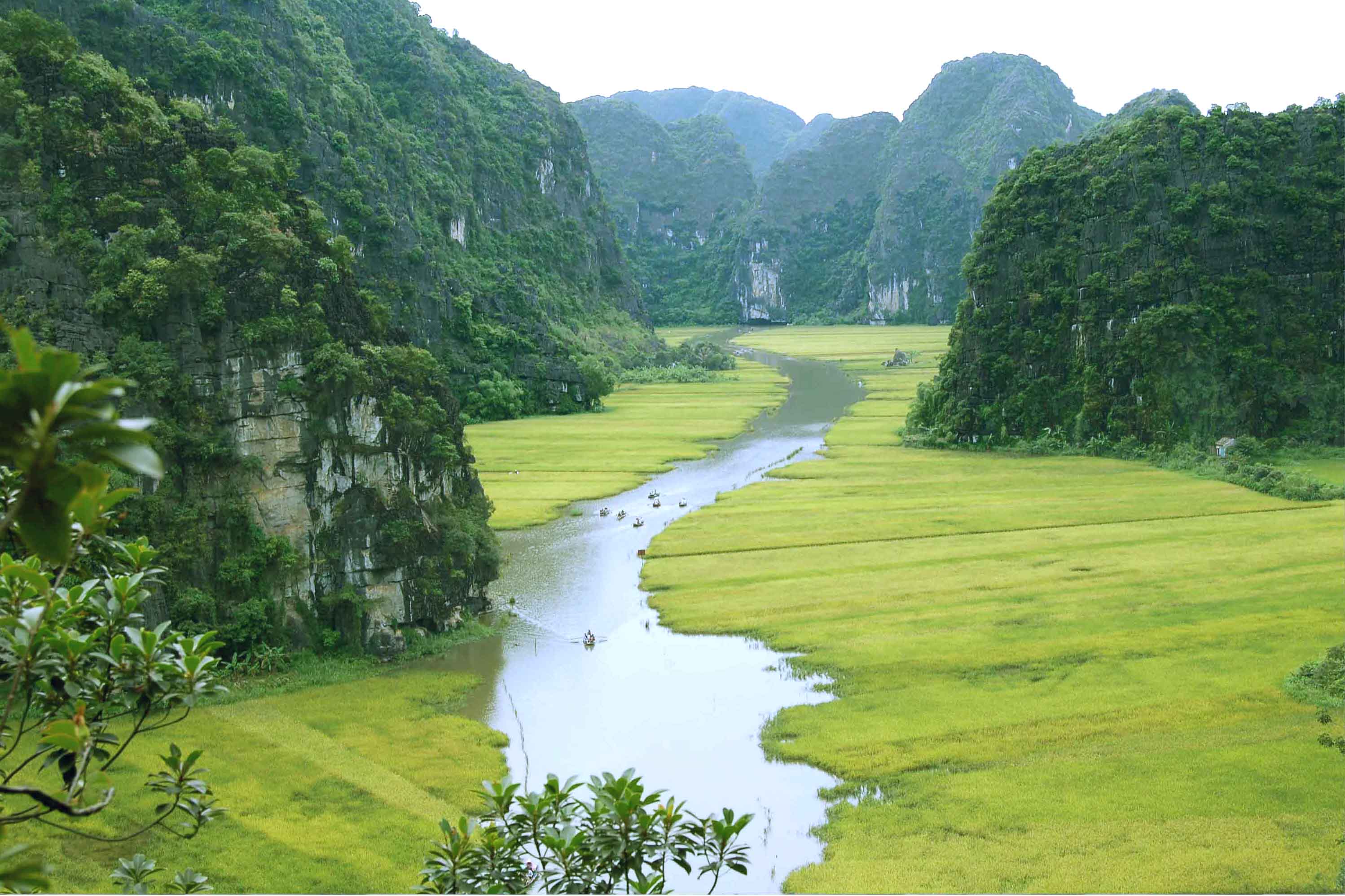 Tour Hoa Lu Tam Coc 1 day