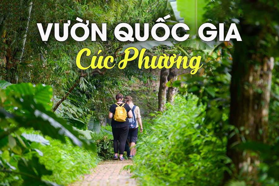 Hướng Dẫn Thuê Xe Hà Nội đi Cúc Phương Giá Rẻ